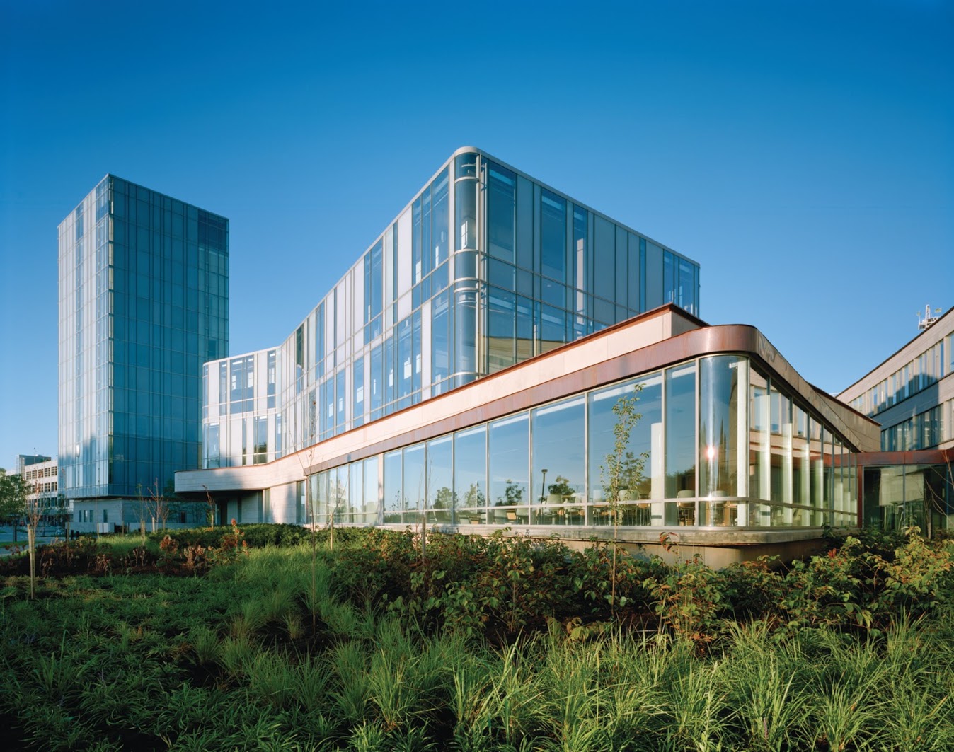 Schulich Corporate Knights